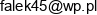 Dariusz Dabrowski Falco Trans Email address