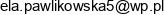 1 Firma Handlowa Tinka Elzbieta Pawlikowska 2 E Zabawka24 Elzbieta Pawlikowska Email address