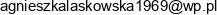 Agnieszka Laskowska Wspolnik Spolki Cywilnej Kupno Sprzedaz Artykulow Przemyslowych S C Email address