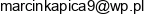 Business Consulting Marcin Kapica Adres e-mail