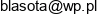 Elbit Email address