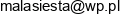 Andrzej Luczak Email address