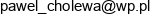 Euris Elektro Pawel Cholewa Email address