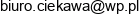 Ciekawa Adres e-mail