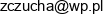 Consiliaris Zdzislaw Czucha Email address