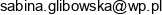 Firma Handlowo Uslugowa Sabina Sowulewska Adres e-mail