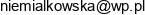 Agnieszka Antonczak Niemialkowska Wspolnik Spolki Cywilnej Atn Invest S C Email address