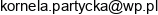 Nelmed Specjalistyczna Praktyka Otolaryngologiczna Kornela Partycka Pietrzyk Email address