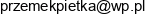 Dachy Pietka Przemyslaw Adres e-mail