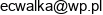 Estetica Studio Urody Makijazu Permanentnego I Trychologii Ewa Wysocka Adres e-mail