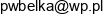Dagmara Szlapak Firma Uslugowa Adres e-mail