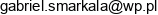 Uslugi Lesne Gabriel Smarkala Email address