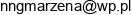 Neurologopeda Logopeda Marzena Nguyen Adres e-mail
