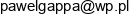 B2b Consulting Pawel Gappa Adres e-mail