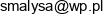 Uslugi Remontowe Slawomir Malysa Email address Uslugi Remontowe Slawomir Malysa Email address