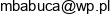 Przedsiebiorstwo Produkcyjno Handlowo Uslugowe Andrema Mariusz Babuca Email address
