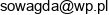 Przedsiebiorstwo Uslugowo Turystyczne Sowa Adam Sowinski Email address