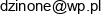 Zaklad Mechaniki Pojazdowej Grzegorz Poplawski Email address