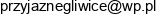 Radio Taxi Lider Email 1