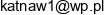 Bismal Email address