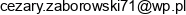 Adex Cezary Zaborowski Adres e-mail