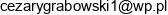 Dzialalnosc Uslugowa Cezary Grabowski Adres e-mail