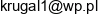Marek Kr Ger Email address
