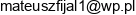 Firma Handlowo Uslugowa Mateusz Fijal Email address