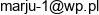 Marju Email address