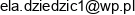 Agd Rtv Elzbieta Dziedzic Email address