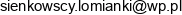 Robert Sienkowski Email address