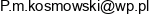 Firma Uslugowa Kosmowski Przemyslaw Kosmowski Email address