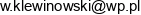Expert Mind Wojciech Klewinowski Adres e-mail