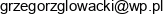 Grzegorz Glowacki Email address