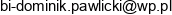 Biuro Inzynierskie Dominik Pawlicki Email address