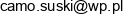 Agencja Interaktywna Suskiproweb Kamil Suski Email address