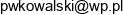 Przedsiebiorstwo Wielobranzowe Kowalski Tomasz Kowalski Email address