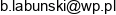 Boguslaw Labunski Bezpieczenstwo I Higiena Pracy Email address