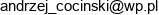 Ac Invest Group Andrzej Cocinski Email address
