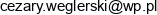Ubezpieczenia Cezary Weglerski Email address