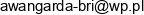 Wojciech Wlodarczyk Biuro Realizacji Inwestycji Awangarda Email address