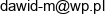 Przedsiebiorstwo Wielobranzowe Dawid Mierkiewicz Email address