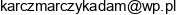 Adam Karczmarczyk Email address