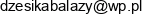 Luksi Dzesika Knapik Email address