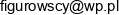 Figurowscy S C Monika Figurowska Wspolnik Spolki Cywilnej Email address