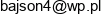 Andrzej Bajson Email address