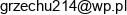 Dach Tech Solutions Uslugi Ciesielsko Dekarskie Grzegorz Kozak Email address