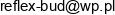 Reflex Bud Email 1