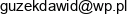 Tip Mex Dawid Guzek Adres e-mail