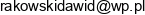 Meblorak Dawid Rakowski Adres e-mail